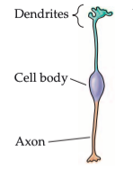 :scale 80%